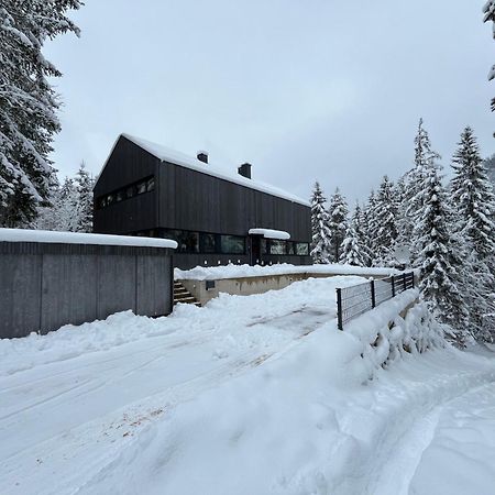 Chalet Dachstein Ramsau am Dachstein Extérieur photo
